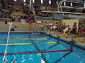 Dominique au plongeon